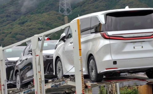 國產(chǎn)車用產(chǎn)品力干不過的車型 地表最貴面包車雷克薩斯lm售價公布