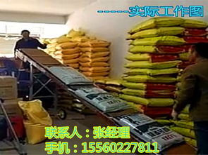 【家用小麥裝車(chē)機(jī)折疊式皮帶輸送機(jī)下鄉(xiāng)收糧專(zhuān)用皮帶機(jī)】-